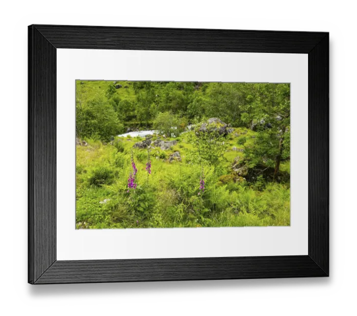Framed Print : Gorgeous mountainous Norway. Journey to the fabulous northern country in the middle of summer