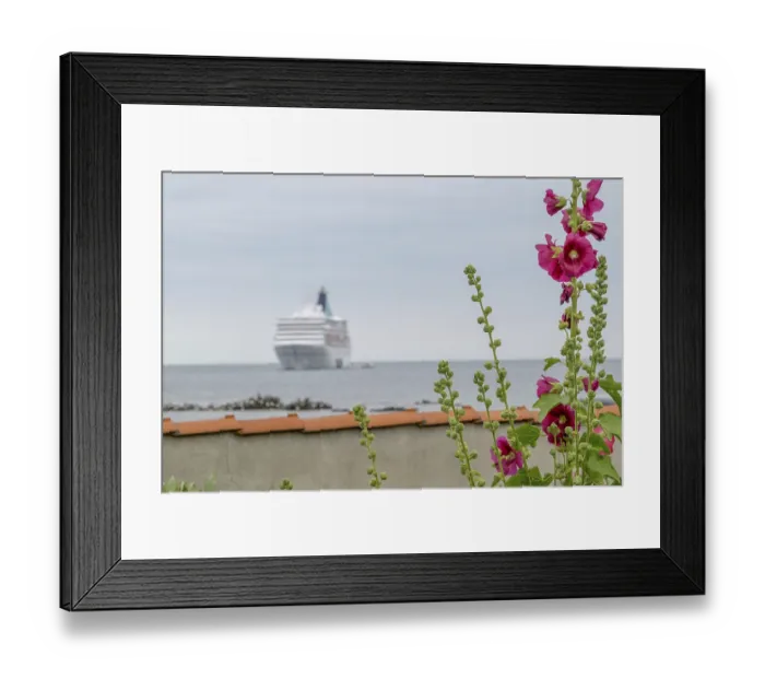 Framed Print : Large cruise ship on the sea with blooming flowers in the foreground Framed Print : Large cruise ship on the sea with blooming flowers in the foreground