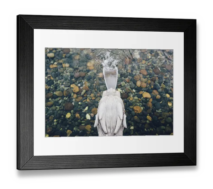 Framed Print : Chinese dragon head water fountain