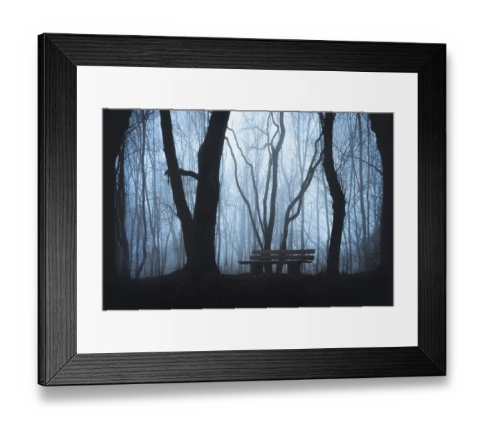 Framed Print : Cold fall landscape with a wooden bench in a forest