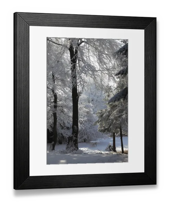 Framed Print : A lovely sunny Christmas Day. Snow-covered glade in winter forest