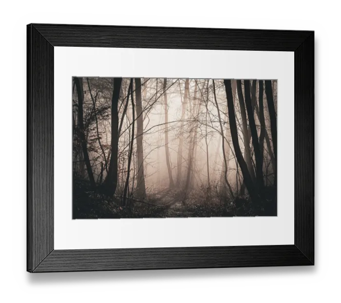 Framed Print : Mysterious, sun-drenched forest in the fog