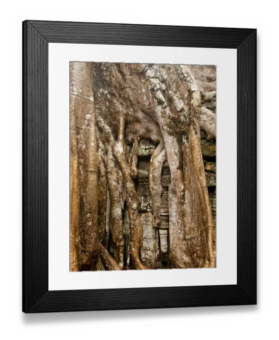 Framed Print : Ta Prohm was built in the Bayon style largely in the late 12th and early 13th centuries