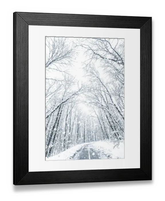 Framed Print : Winter forest snow road. Forest road winter snow view