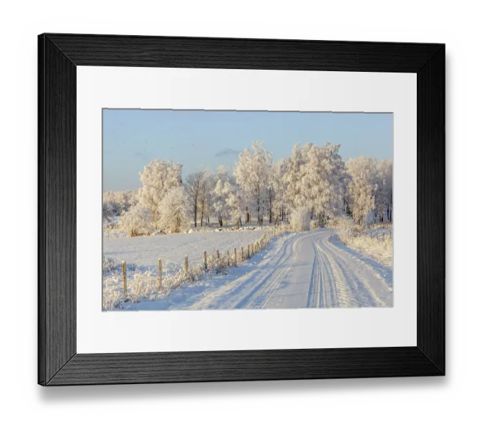 Framed Print : Wintry landscape with a dirt road and a birch grove