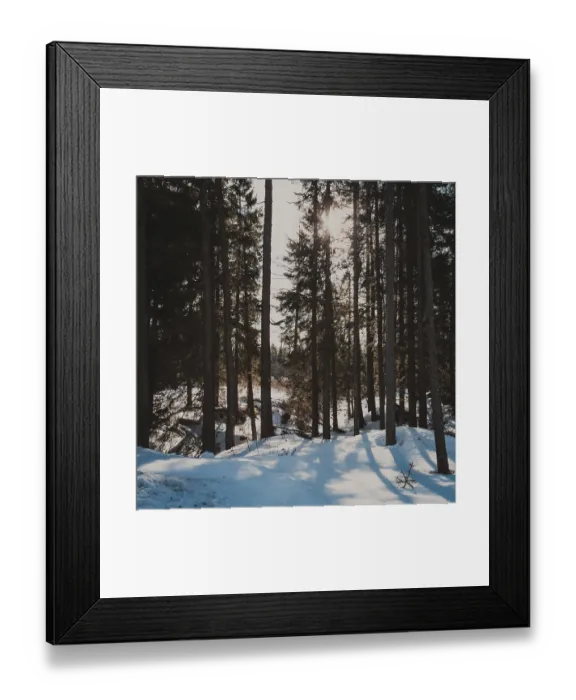 Framed Print : Sun in winter forest shines between the trees