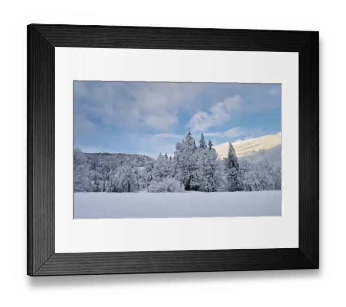 Framed Print : Peaceful winter scene with snow covered trees and ground