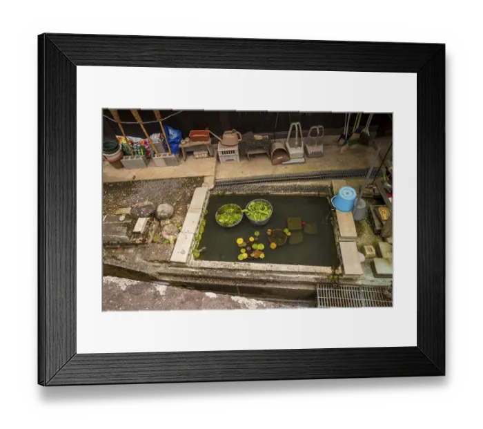 Framed Print : Water and objects, RyUshaku-ji