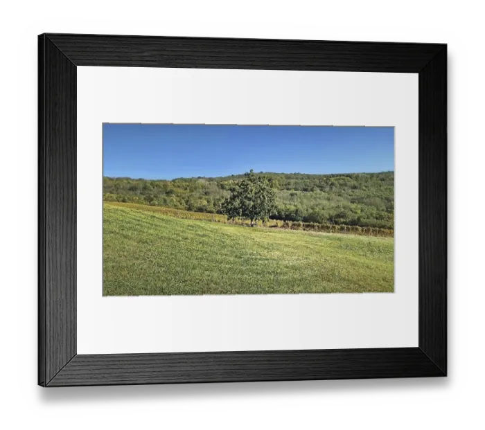 Framed Print : Scenic landscape with a single tree in the foreground