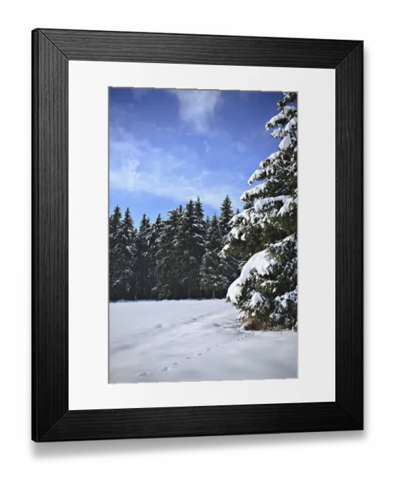 Framed Print : Winter forest under new snow in Germany