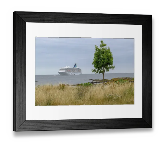 Framed Print : Cruise ship in the sea, lonely tree and grass in the foreground