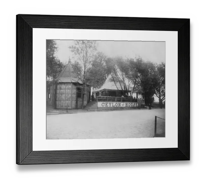 Framed Print : The World's Columbian Exposition (the official shortened name for the World's Fair: Columbian Exposition) Framed Print : The World's Columbian Exposition (the official shortened name for the World's Fair: Columbian Exposition)