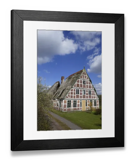 Framed Print : Heavily damaged thatched roof of a half-timbered house