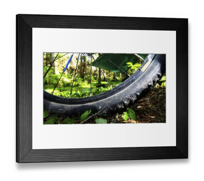 Framed Print : Travel by bike in forest area. Bicycle among coniferous forest in camping Framed Print : Travel by bike in forest area. Bicycle among coniferous forest in camping