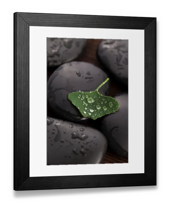 Framed Print : Zen stones and ginko biloba leaves with water drops