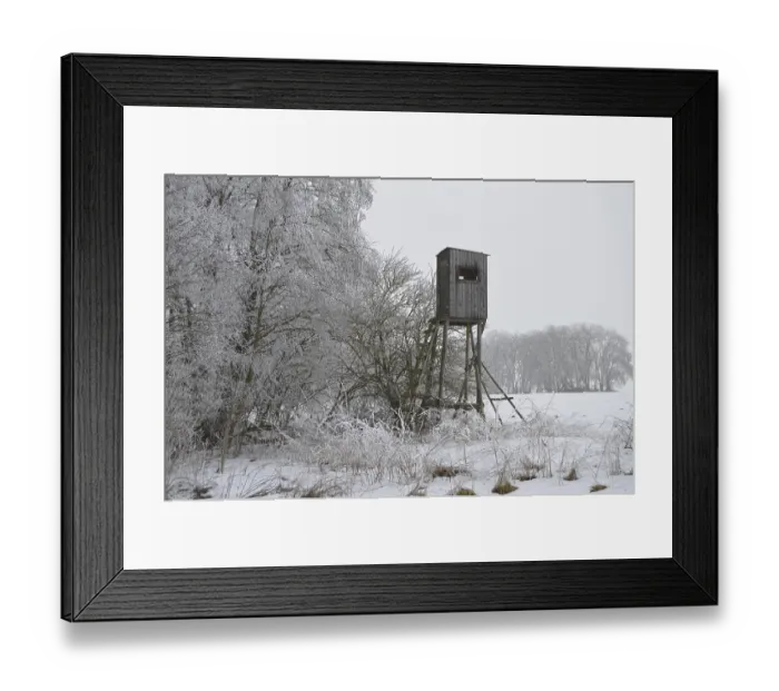 Framed Print : High seat at the edge of the forest Framed Print : High seat at the edge of the forest