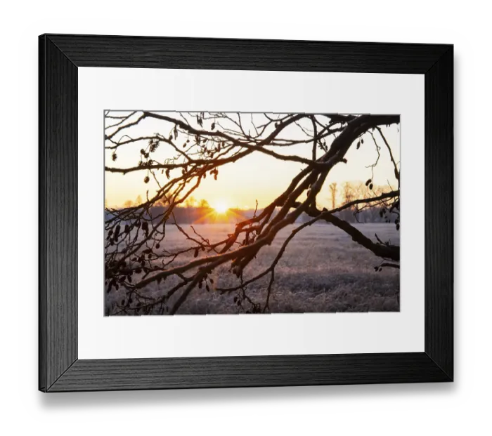 Framed Print : Winter landscape in frost at sunrise Framed Print : Winter landscape in frost at sunrise