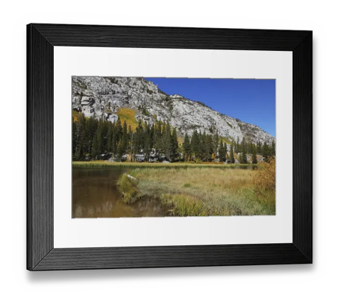Framed Print : Yellow, green and orange colors of autumn Framed Print : Yellow, green and orange colors of autumn