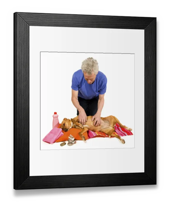 Framed Print : Zen moment and Spa treatment by the dog owner