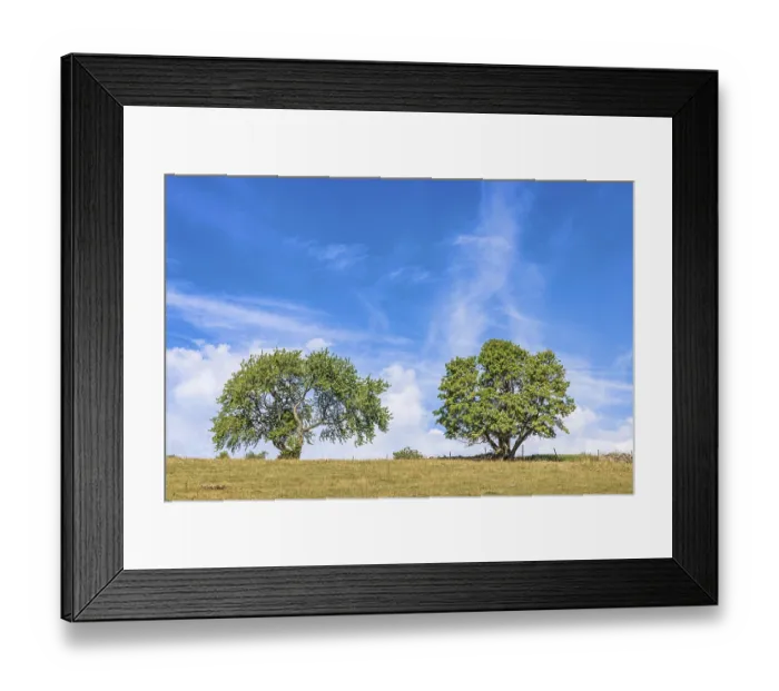 Framed Print : Lush green trees on a grass meadow with a blue sky