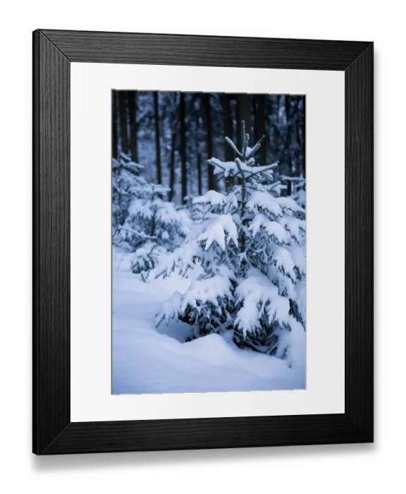 Framed Print : Winter forest under new snow in Germany