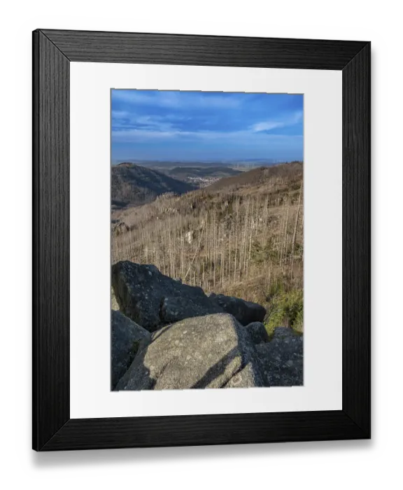 Framed Print : Dead trees, spruces, at the rock formation Kasteklippen on the Huthberg in the Harz Mountains
