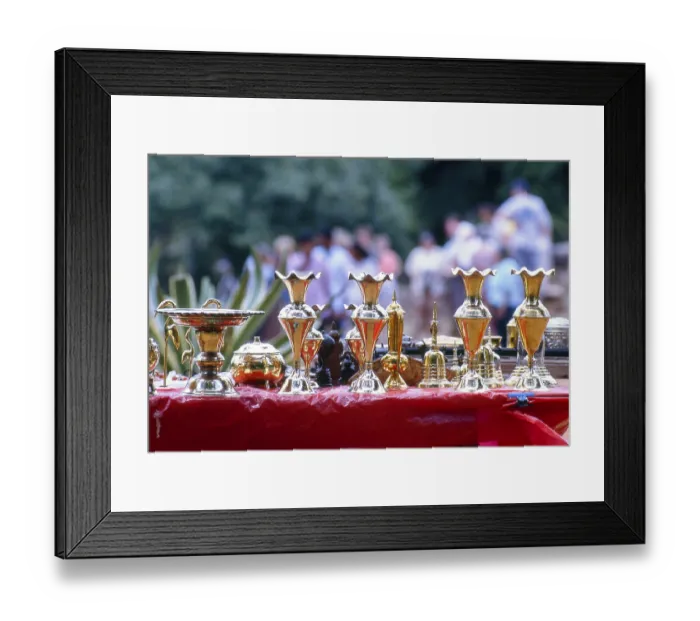 Framed Print : Anuradhapura is one of Sri Lanka's ancient capitals and famous for its well-preserved ruins
