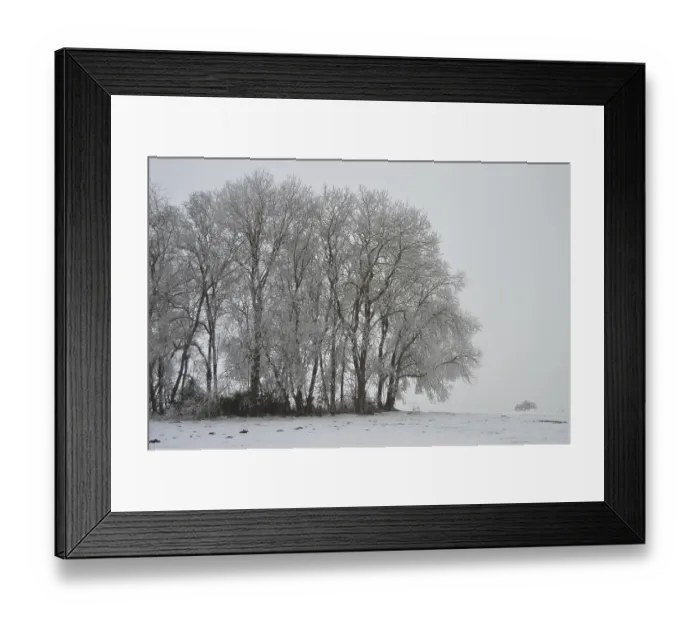 Framed Print : Winter landscape