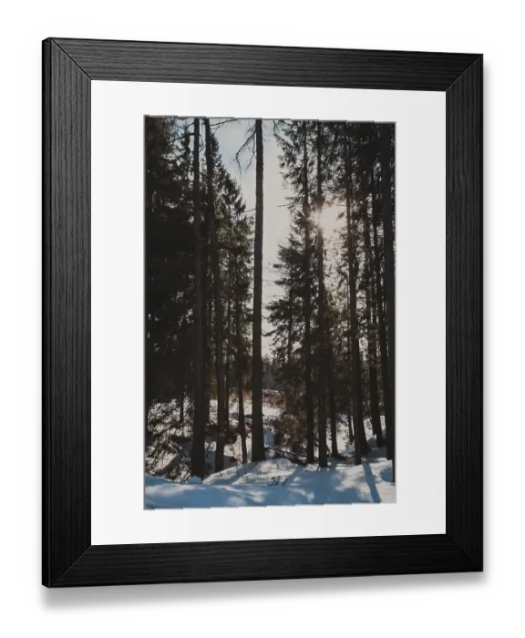 Framed Print : Sun in winter forest shines between the trees