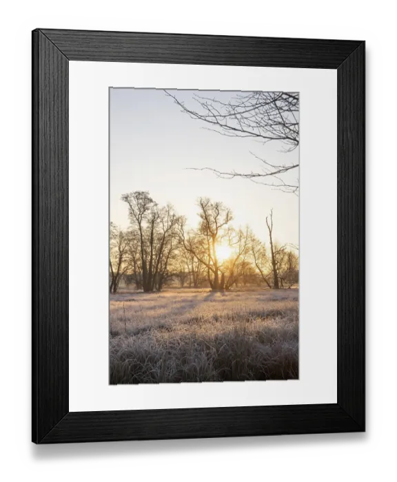 Framed Print : Winter landscape in frost at sunrise