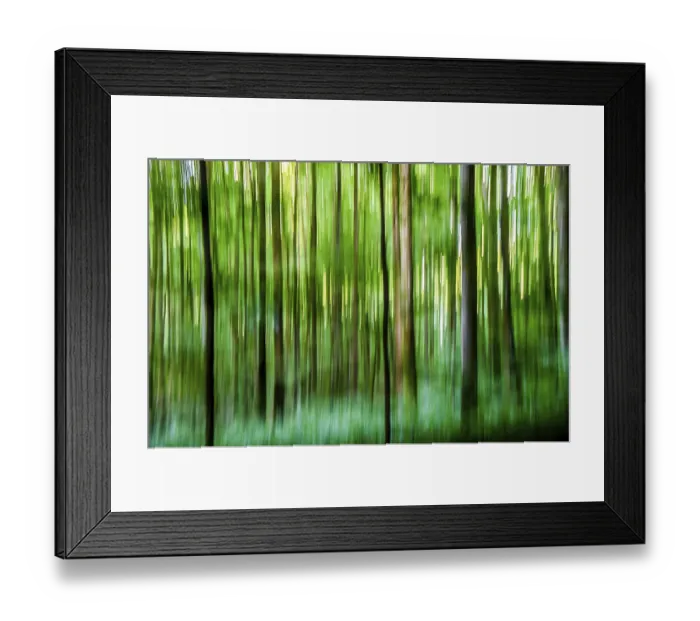 Framed Print : Forest Lower Franconia Framed Print : Forest Lower Franconia