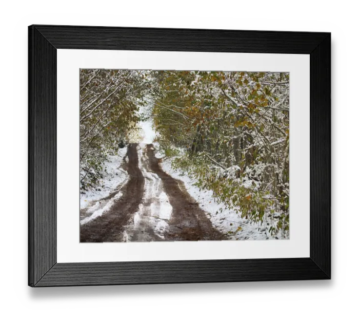 Framed Print : Forest roads and trails in beginning of winter Framed Print : Forest roads and trails in beginning of winter