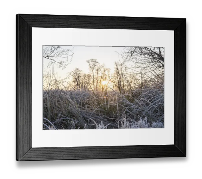 Framed Print : Winter landscape in frost at sunrise