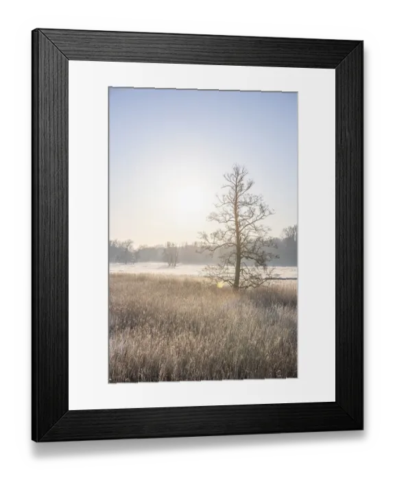 Framed Print : Winter landscape in frost at sunrise