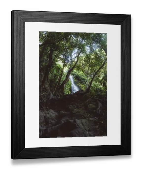 Framed Print : A waterfall, hidden in the dense forest Framed Print : A waterfall, hidden in the dense forest