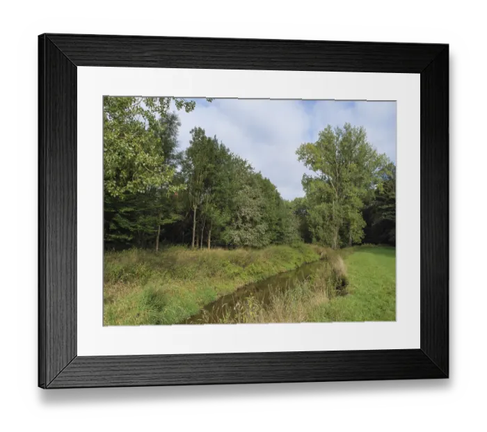 Framed Print : Green meadow and stream surrounded by trees at the edge of the forest
