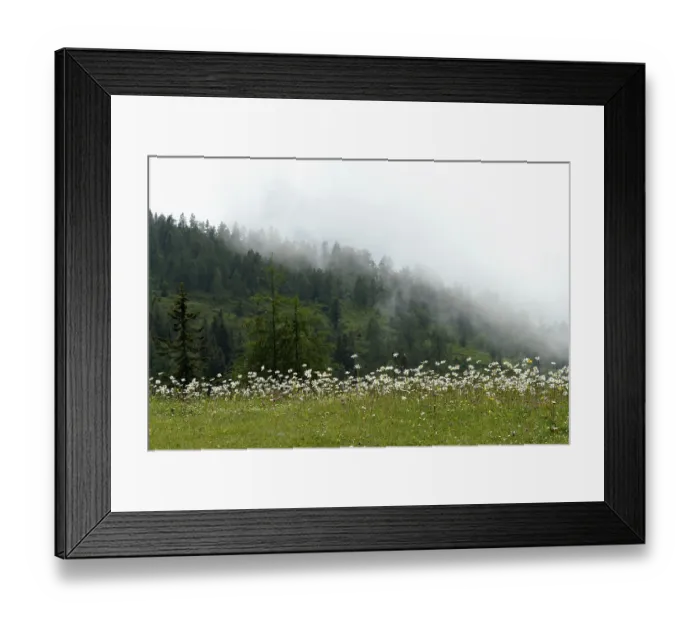 Framed Print : Morning fog in the mountains Framed Print : Morning fog in the mountains