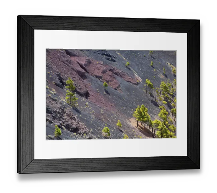 Framed Print : Crater in La Palma San Antonio volcano Fuencaliente at Canary islands Framed Print : Crater in La Palma San Antonio volcano Fuencaliente at Canary islands