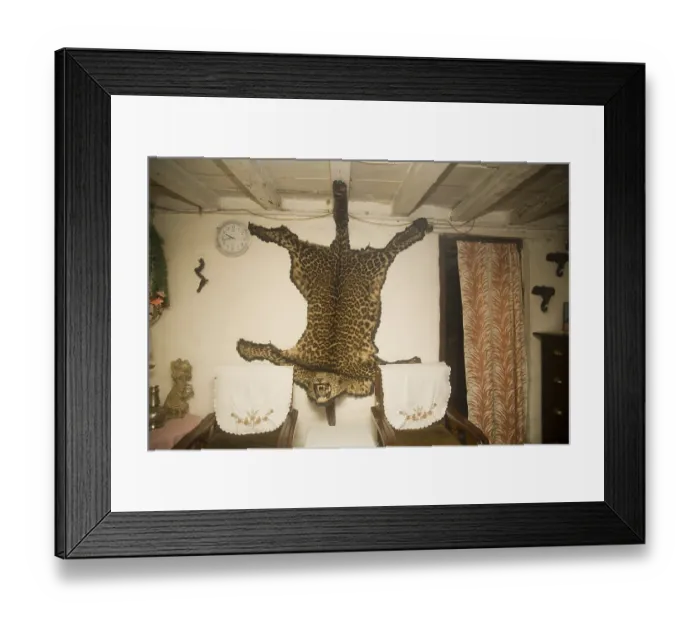 Framed Print : Animal skin of cheetah