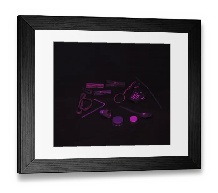 Framed Print : Objects collected by the silk bowerbird in the UV (Ptilonorhynchus violaceus) Framed Print : Objects collected by the silk bowerbird in the UV (Ptilonorhynchus violaceus)
