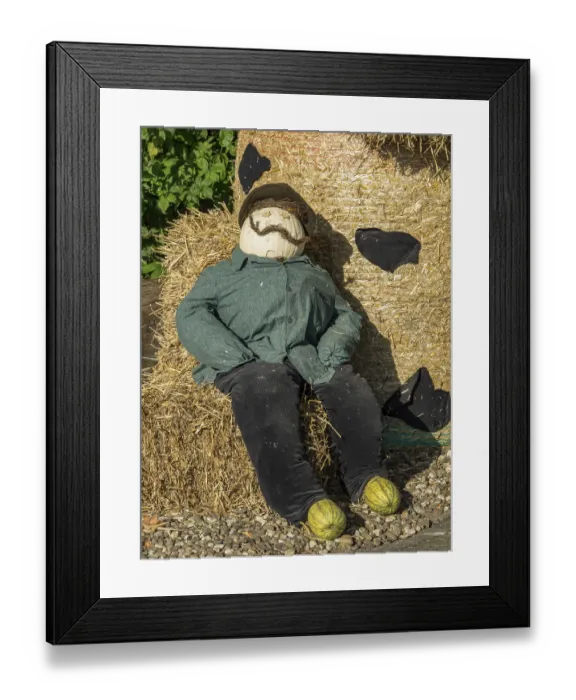 Framed Print : A scarecrow lies on a haystack next to a stone path in the garden
