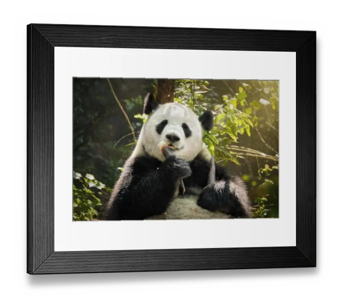 Framed Print : Chinese tourist symbol and attraction Framed Print : Chinese tourist symbol and attraction