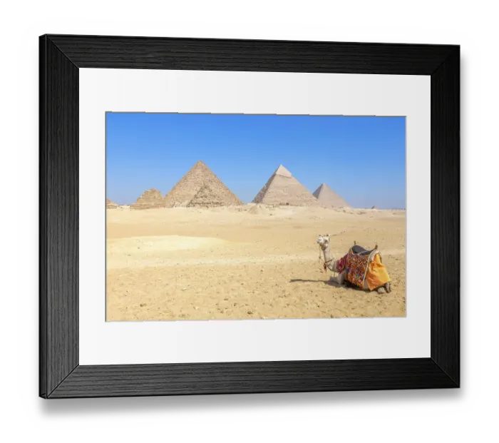 Framed Print : The pyramids at Giza in Egypt