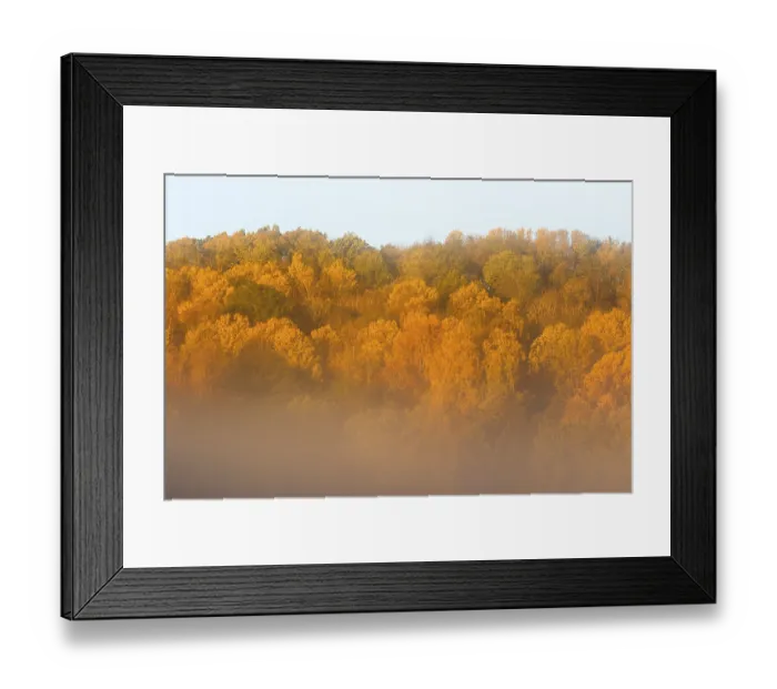 Framed Print : Morning fog on a hill with deciduous forest in autumn colors