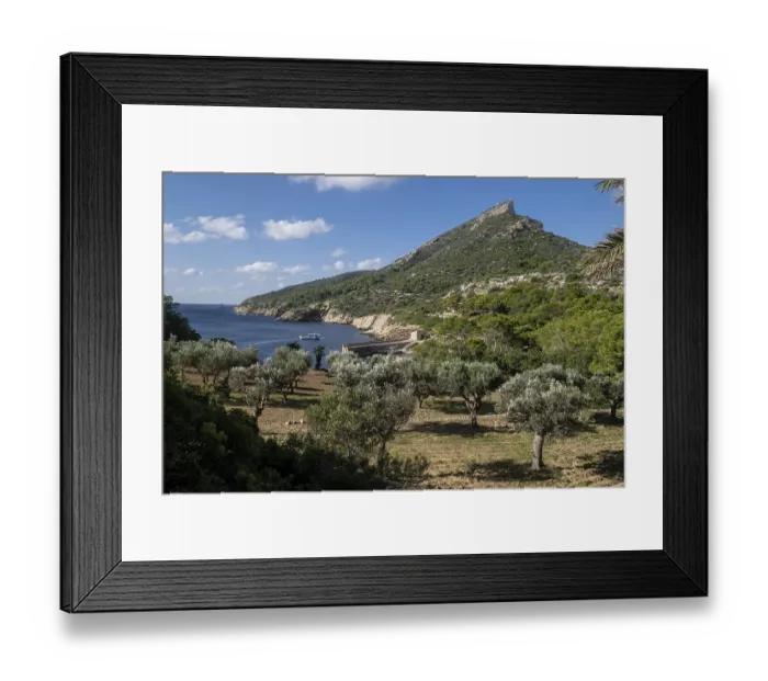 Framed Print : Es Lledo olive grove, Sa Dragonera natural park