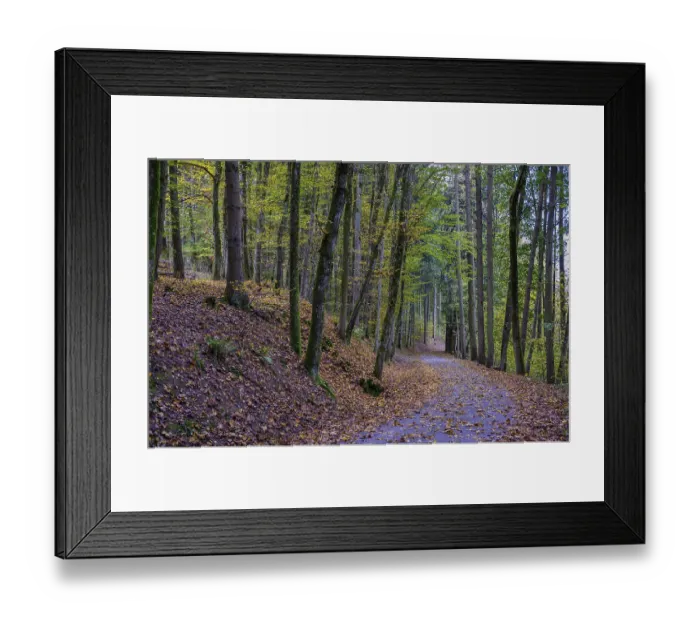 Framed Print : A quiet forest path, lined with trees and covered with autumn leaves