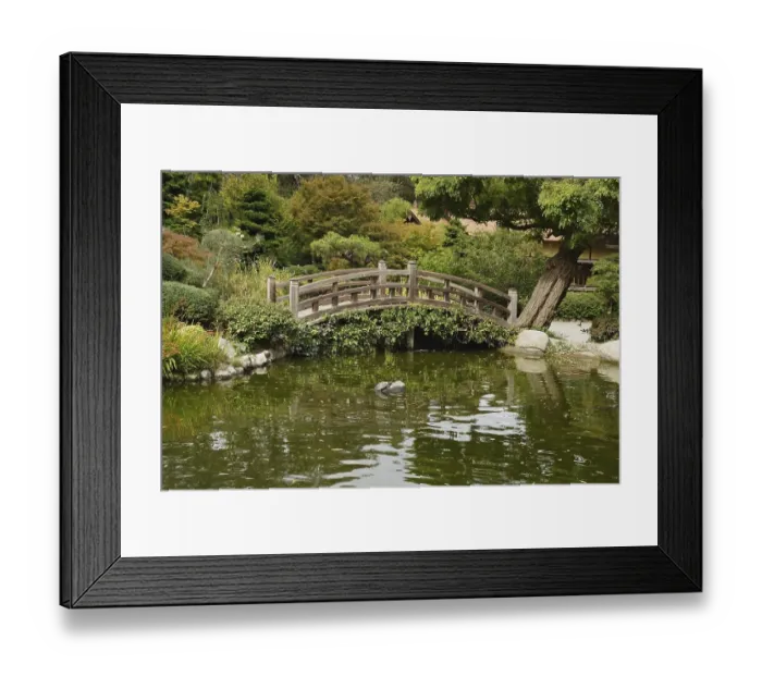 Framed Print : A small pond and a decorative wooden bridge in the Japanese garden in Saratoga