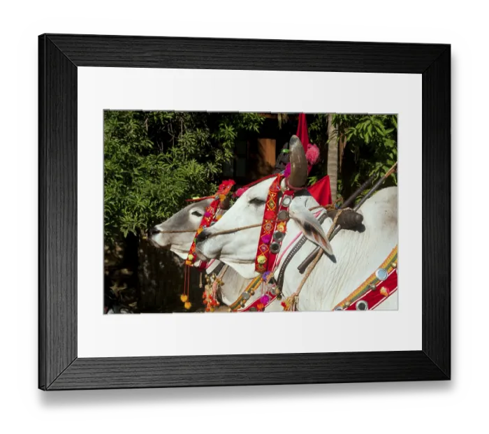 Framed Print : Shinbyu is the Burmese term for a novitiation ceremony (pabbajja) in the tradition of Theravada Buddhism