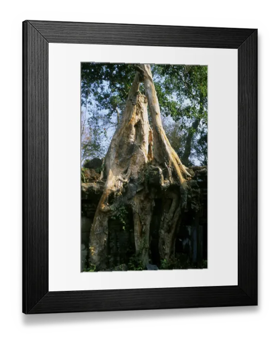 Framed Print : Preah Khan (Temple of the Sacred Sword) was built in the late 12th century (1191)