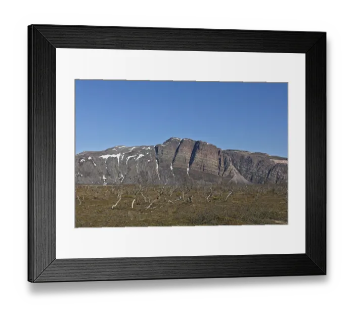 Framed Print : Landscape view of dead trees and Giemas mountain in the background in clear summer weather